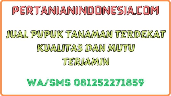 Jual Pupuk Tanaman Terdekat Kualitas Dan Mutu Terjamin